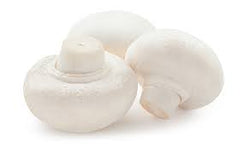 MUSHROOM (BUTTON)