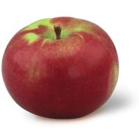 https://greenacrefarmersmarket.com/cdn/shop/products/Pavero-Apples__McIntosh_200x.jpg?v=1647884988