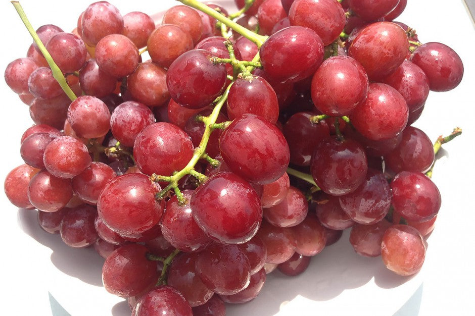 https://greenacrefarmersmarket.com/cdn/shop/products/RED_seedless_grapes_940x.jpg?v=1585767775