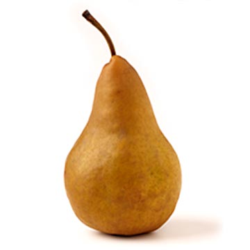 Organic Bosc Pears, 2 pack delivery in Denver, CO