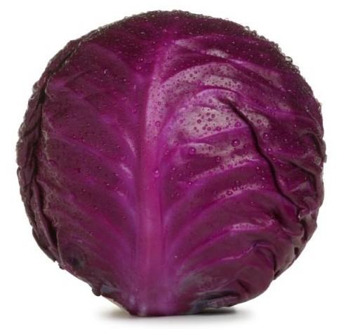 CABBAGE (RED)