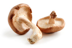 MUSHROOM (SHIITAKE)