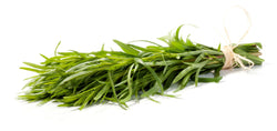 TARRAGON BUNCH