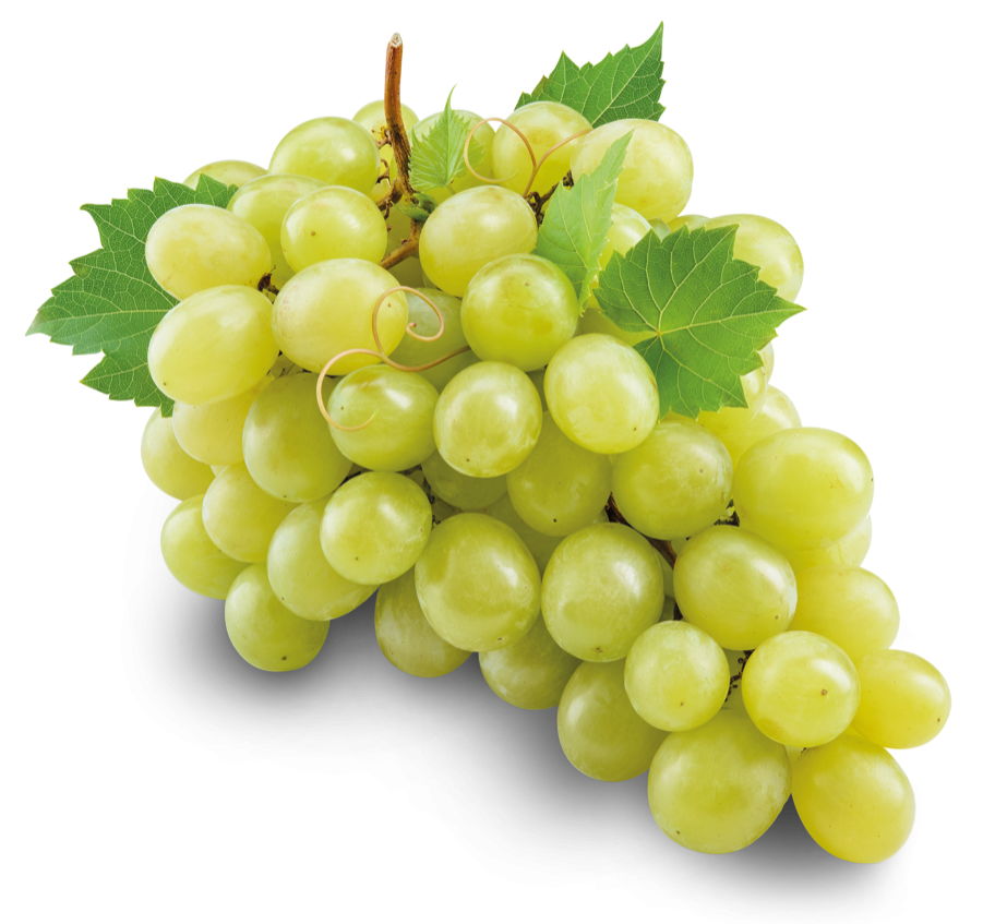 White Grapes This New Grape Variety From SA Is Taking Global Markets